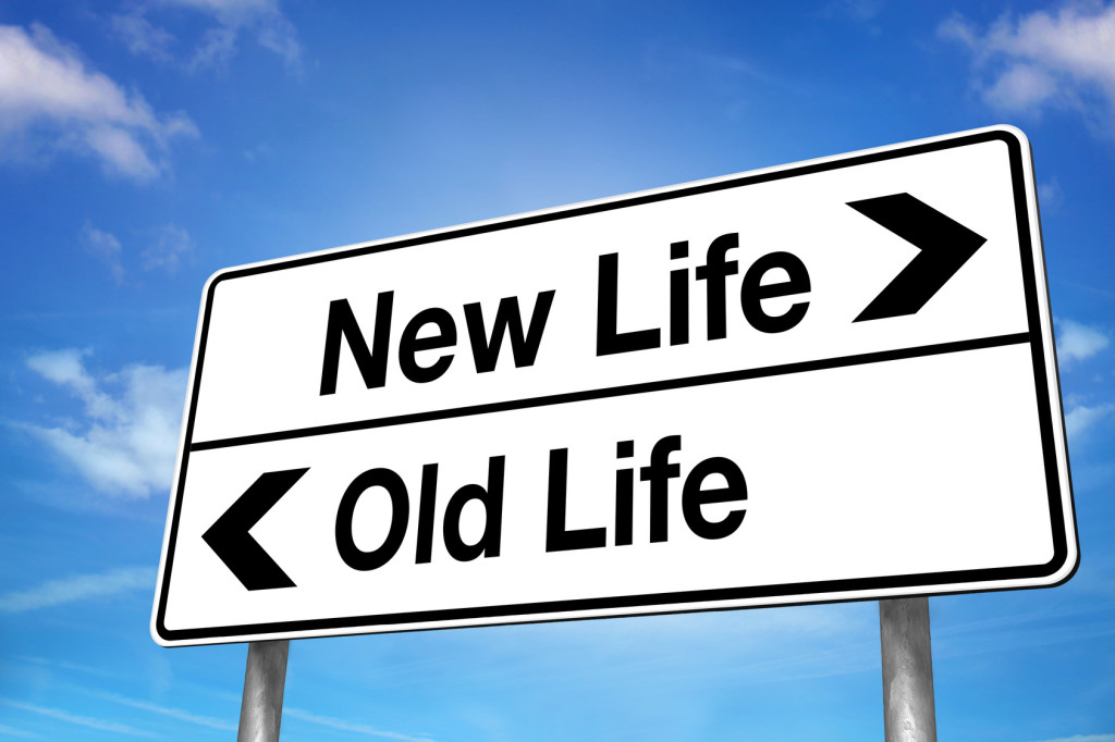 New Life/Old Life Road Sign